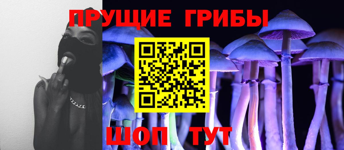 Псилоцибиновые грибы Psilocybe Воркута